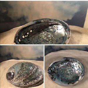 Abalone shell